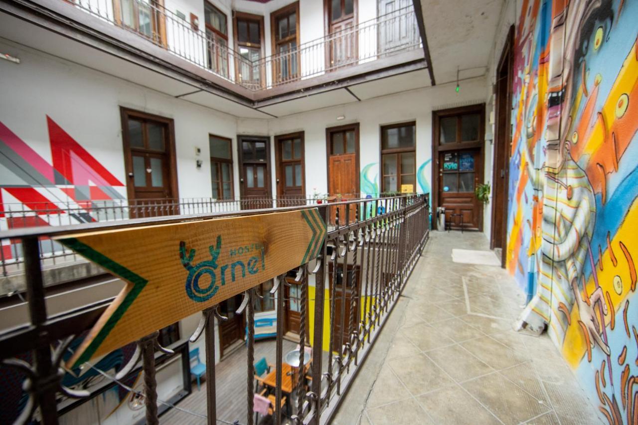 Hostel Cornel Timisoara Ngoại thất bức ảnh